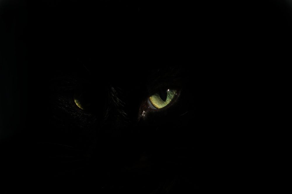 Photograph by Алёна Вороная