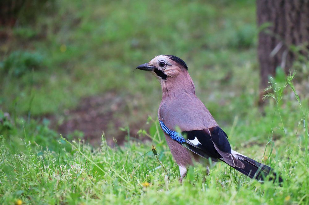 Photograph by Anna Perevozchikova