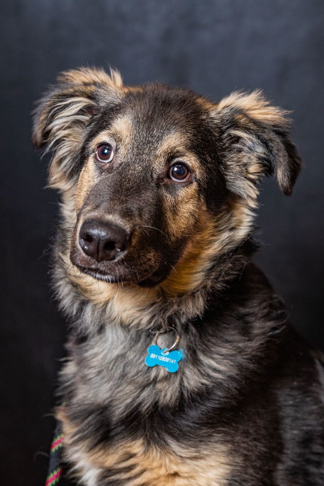 Photograph by Ирина Левакова