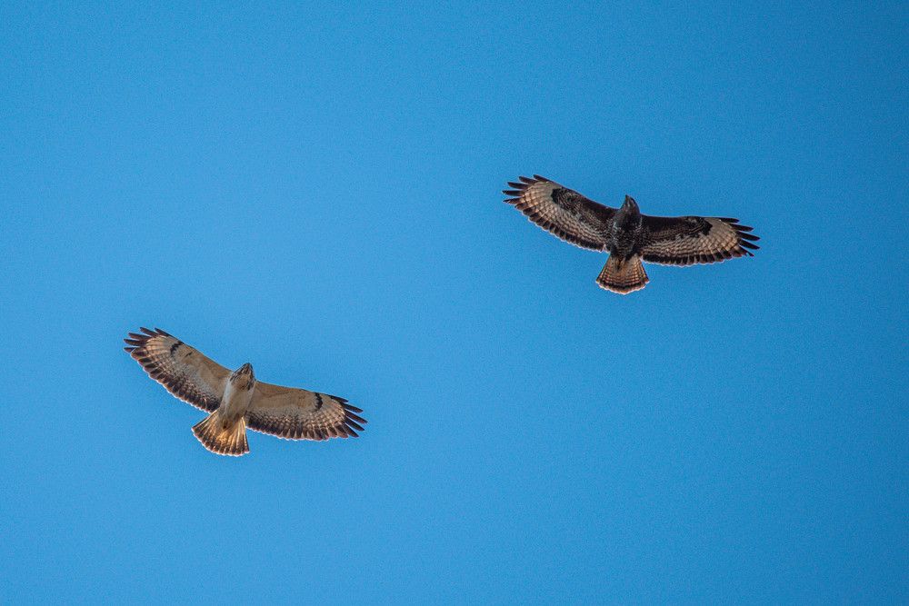 Photograph by Сергей Нагель-Синегубов