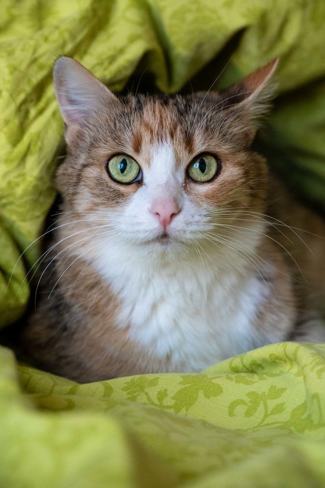 Photograph by Ирина Левакова