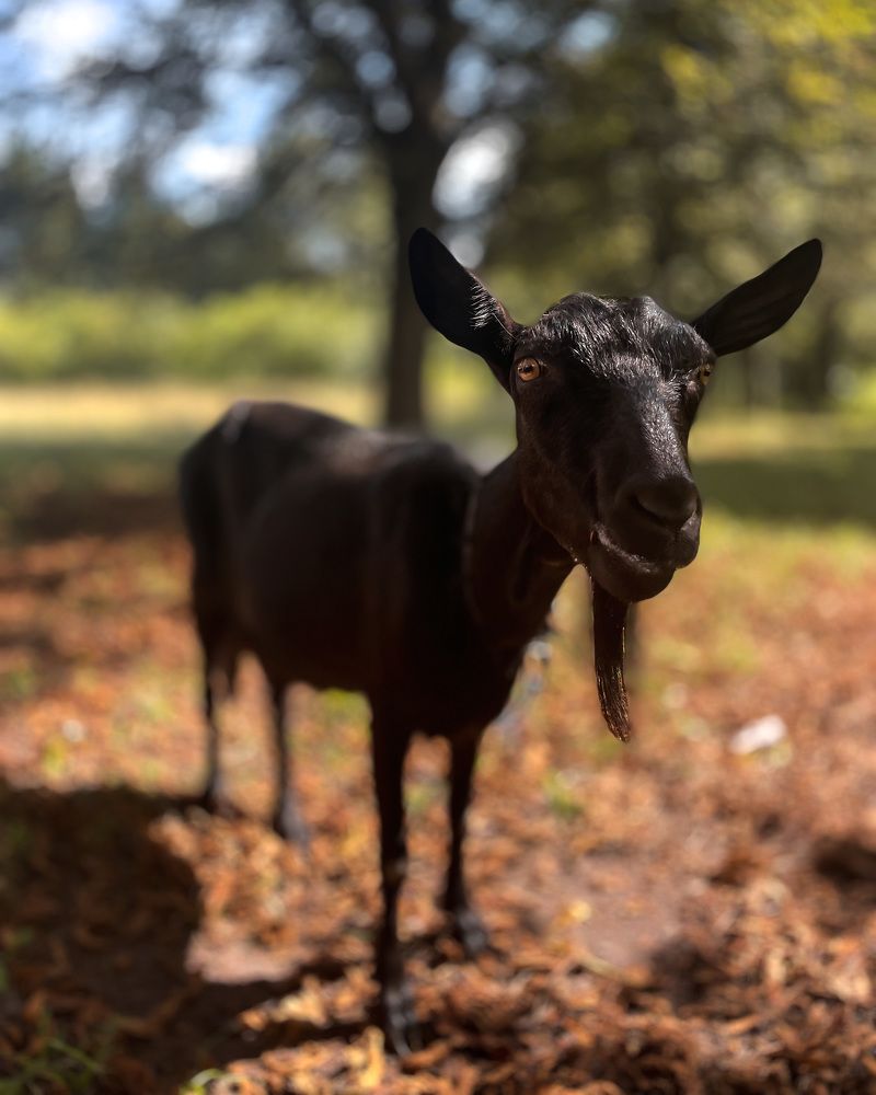 Photograph by Марина Тверитнева