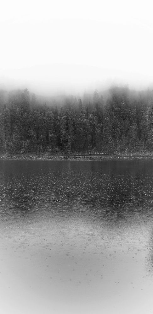 Photograph by Nelli Polle