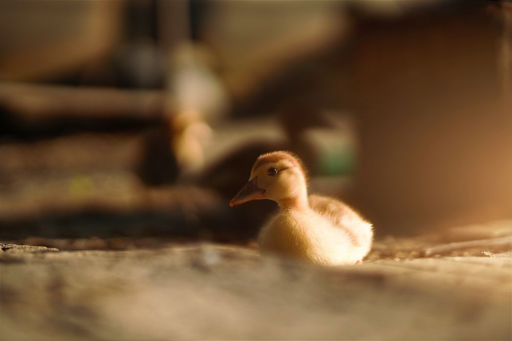 Photograph by Сергей Хрулев