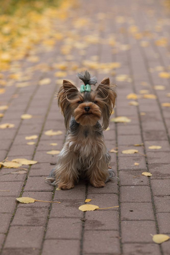 Photograph by Ирина Харитонова