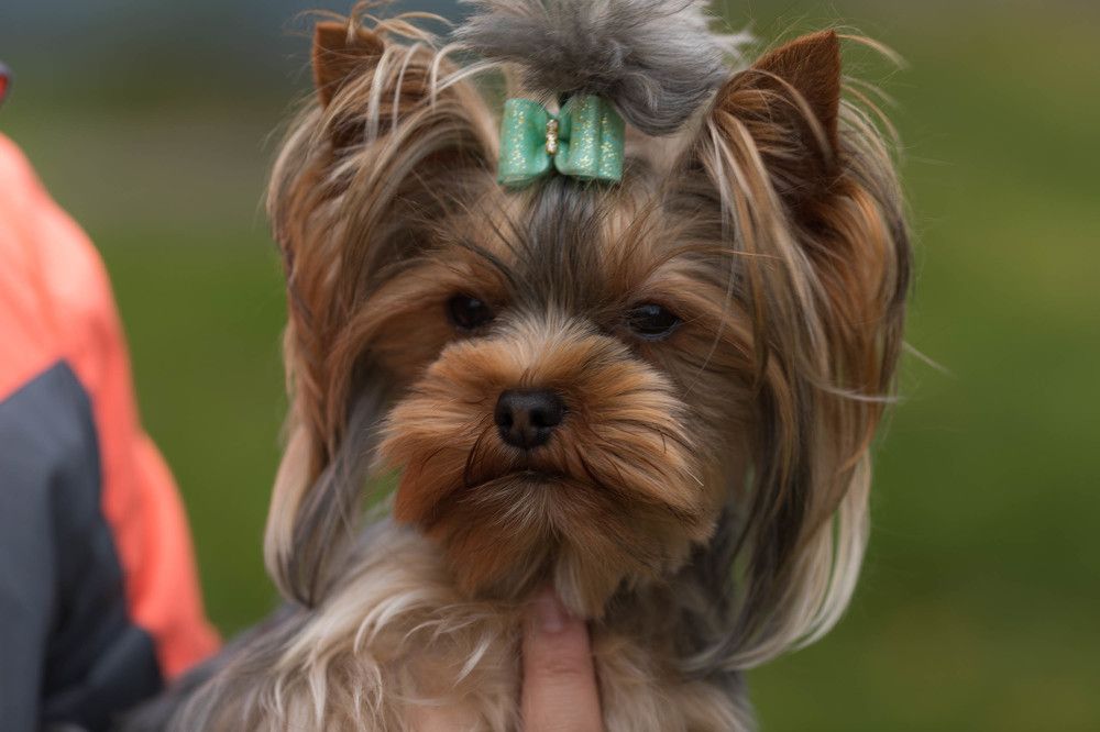 Photograph by Ирина Харитонова