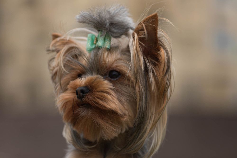 Photograph by Ирина Харитонова