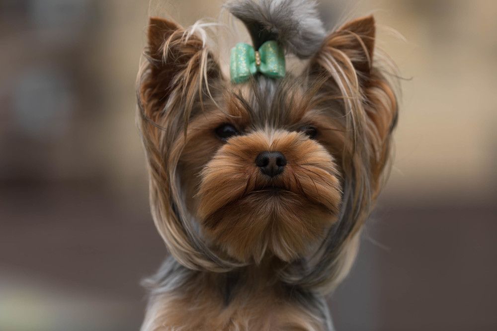 Photograph by Ирина Харитонова