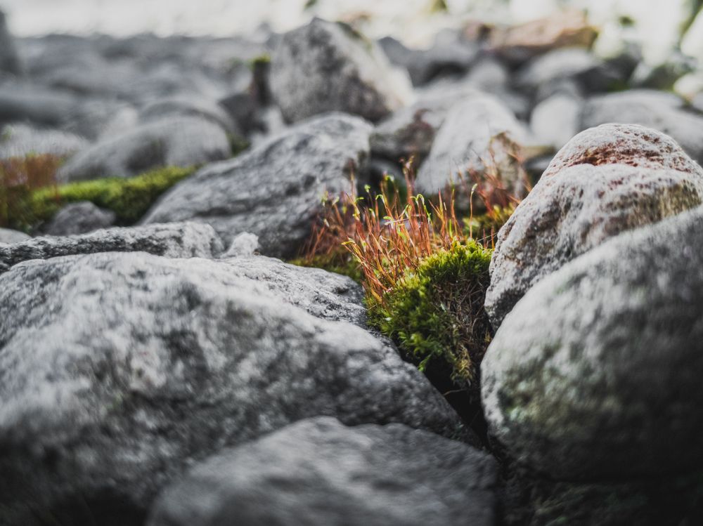 Photograph by Алексей Чеботарев