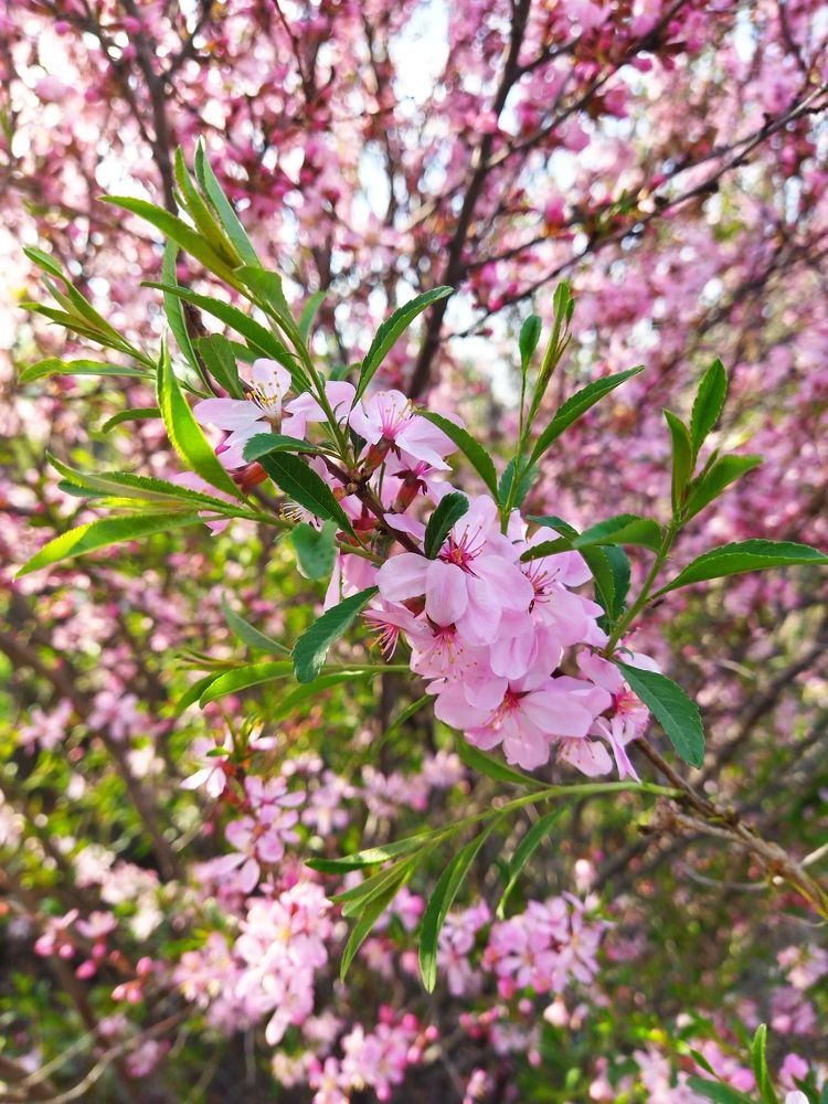 Photograph by Екатерина Лакутина