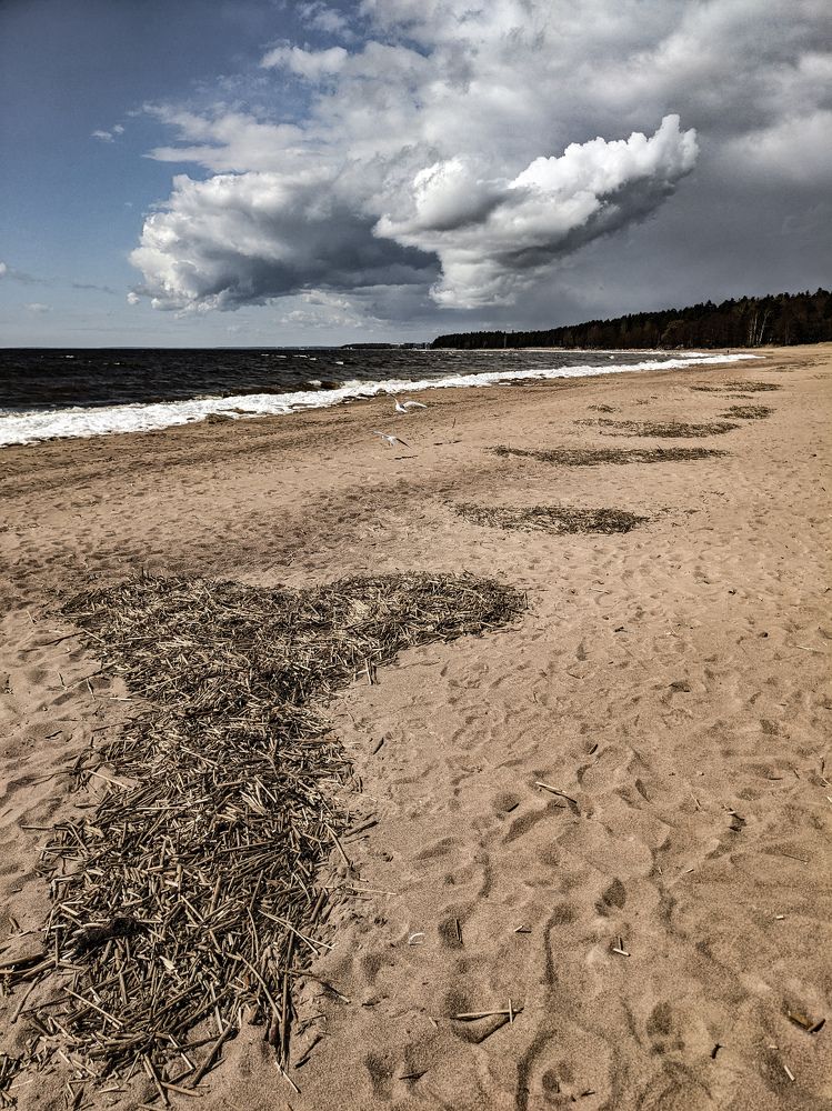Photograph by Екатерина Абрамова