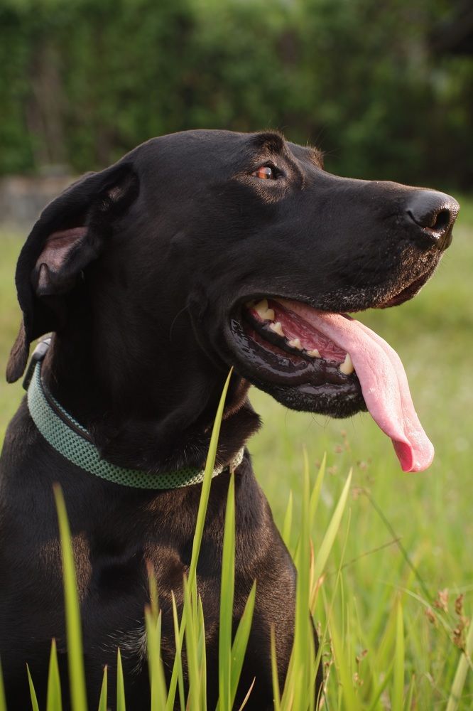 Фотография автора Zai R.