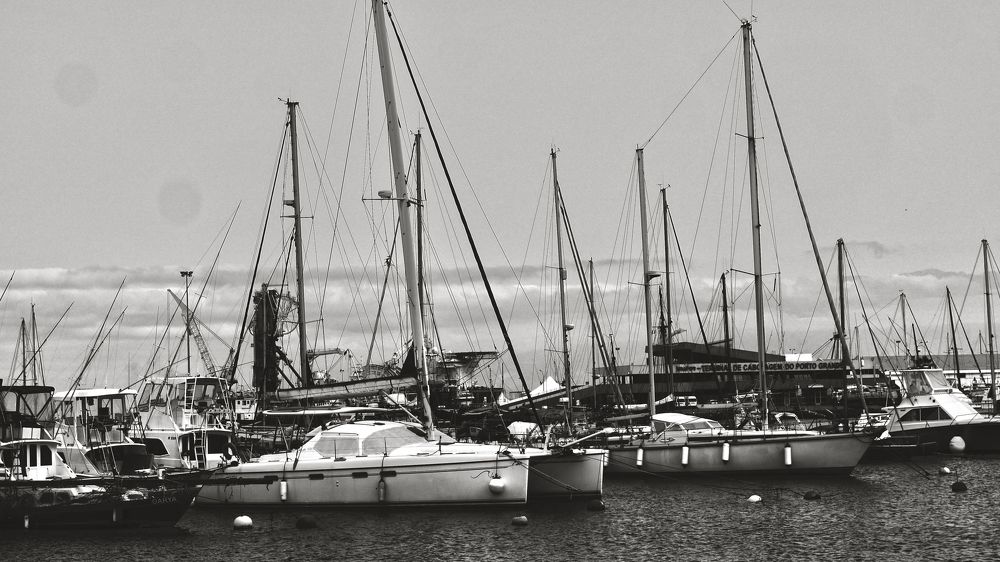 Photograph by João Paradela