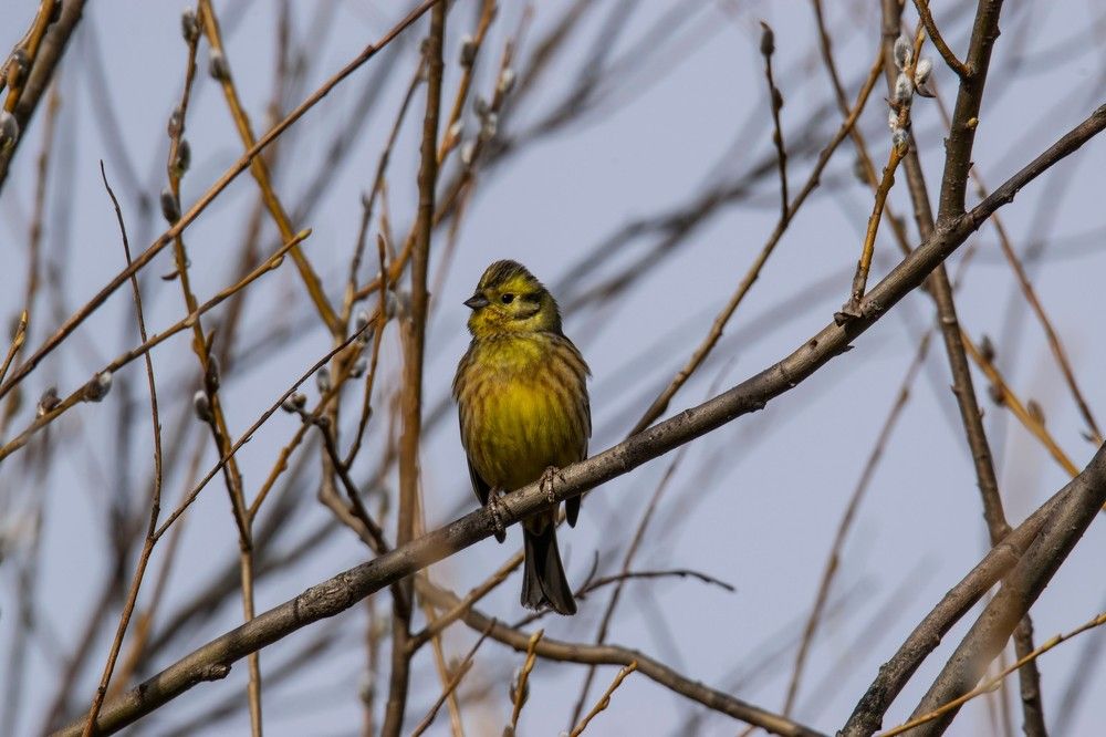 Photograph by Алексей Логинов