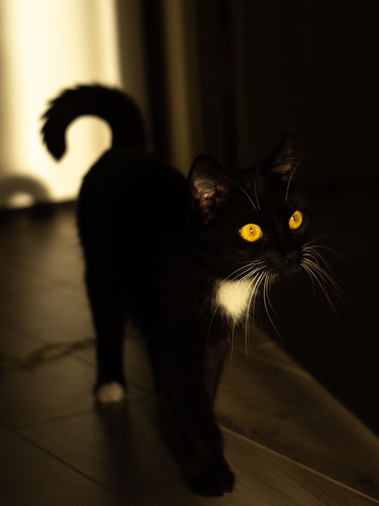 Photograph by Елена Хорохорина