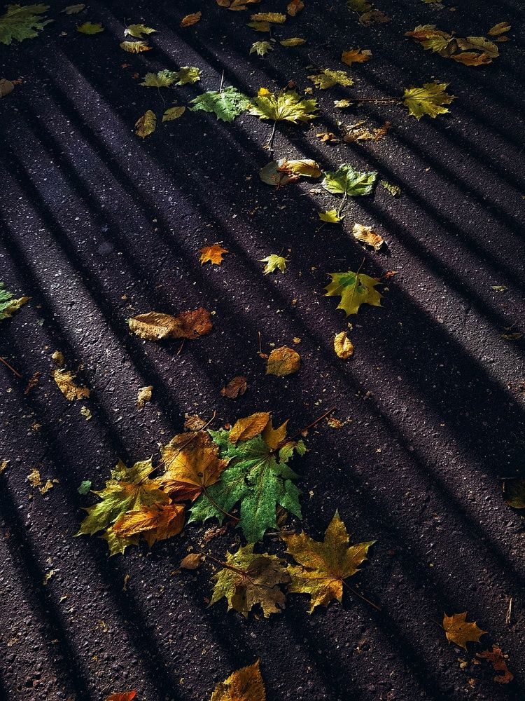 Photograph by Артур Нариманян