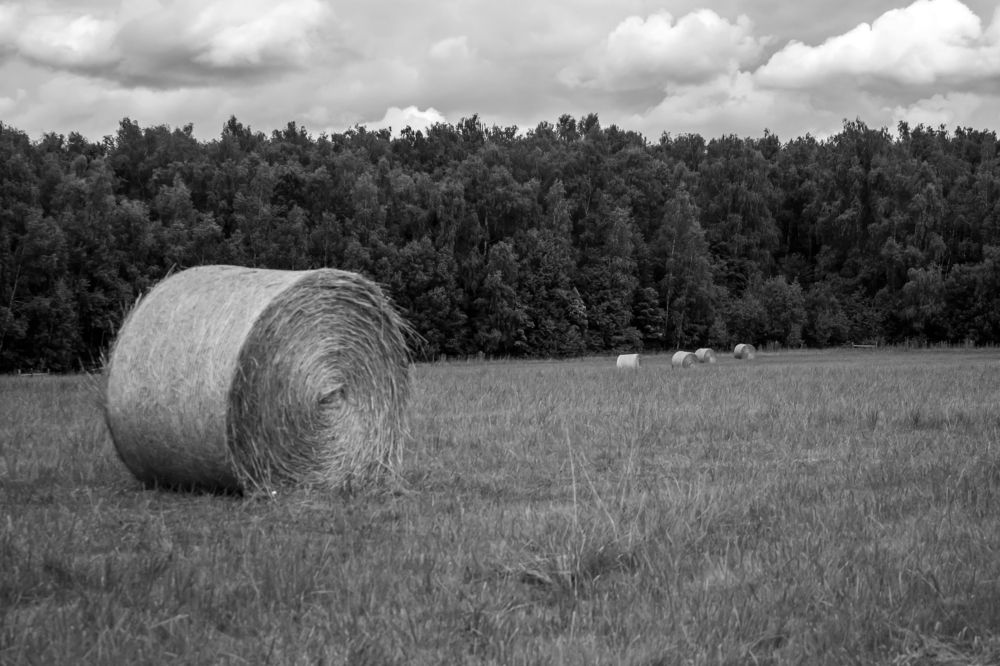 Photograph by Владимир Бузов