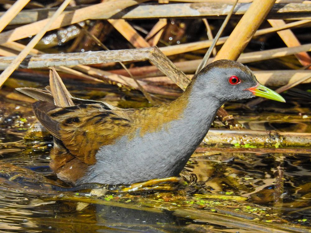 Photograph by Игорь Степанов