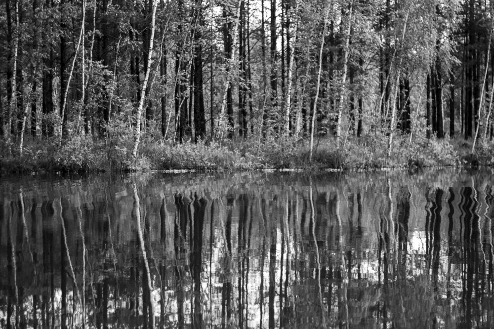 Photograph by Владимир Бузов