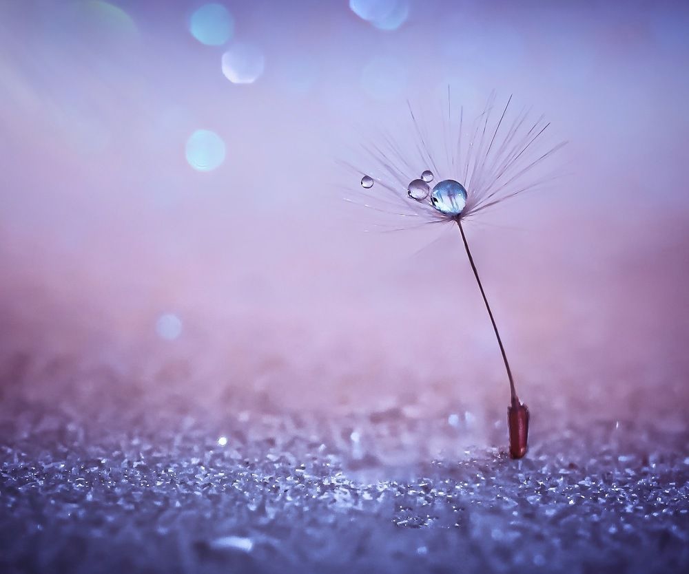 Photograph by Евгения Д