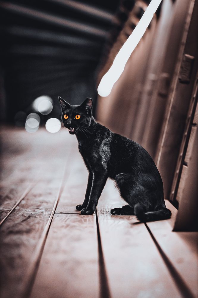 Photograph by Артур Сейтхалилов