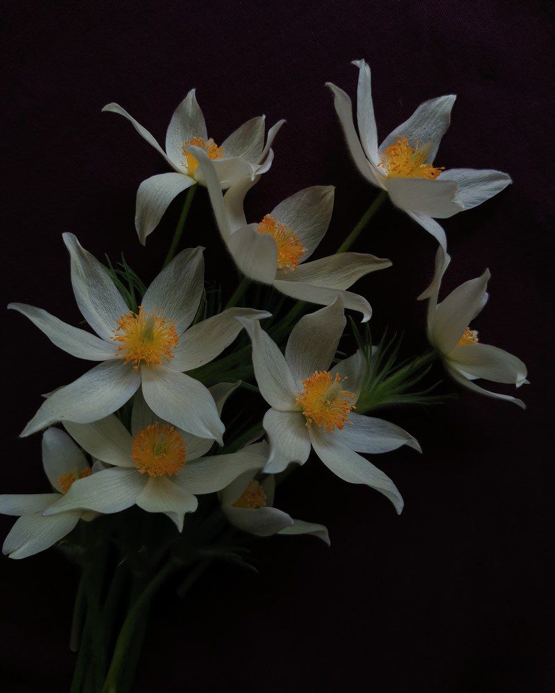 Photograph by Oxana Kostsova