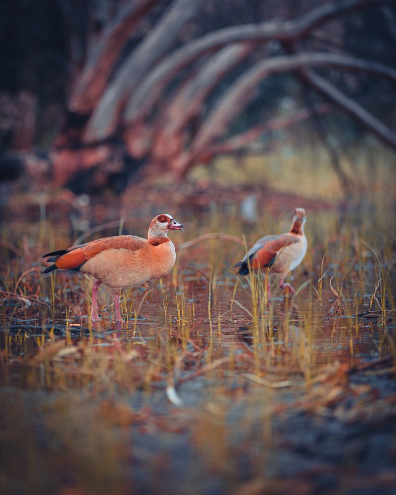 Photograph by Артур Сейтхалилов