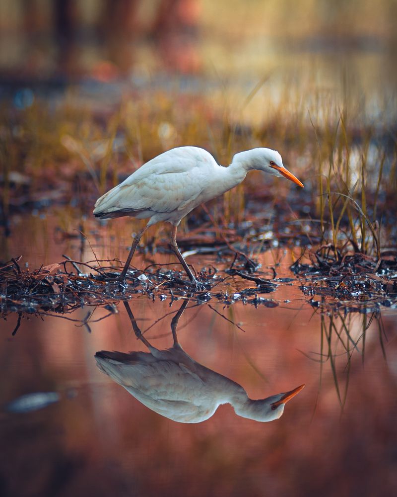 Photograph by Артур Сейтхалилов