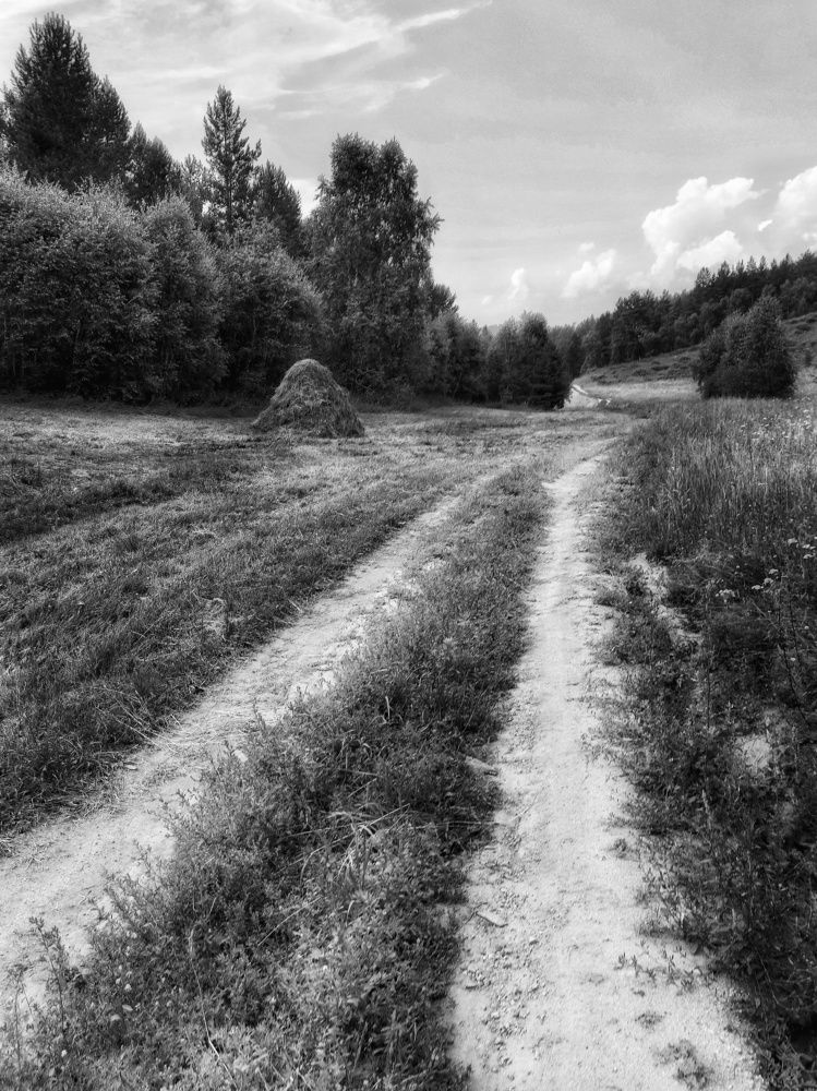 Photograph by Анастасия Дубинина