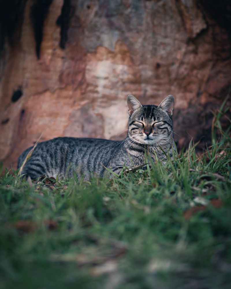 Photograph by Артур Сейтхалилов