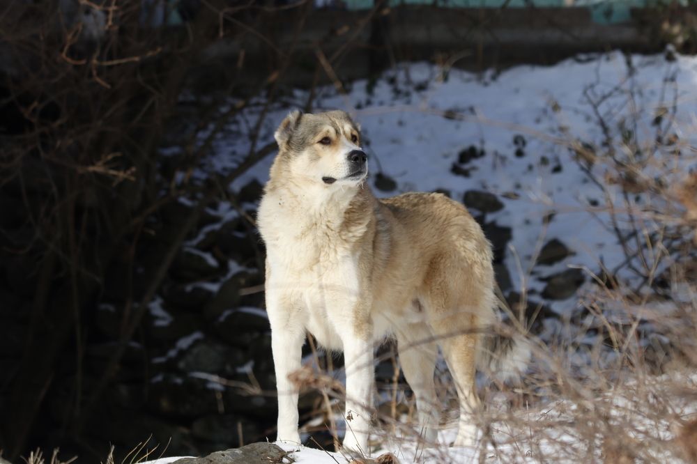 Photograph by Sajkovski Dejan