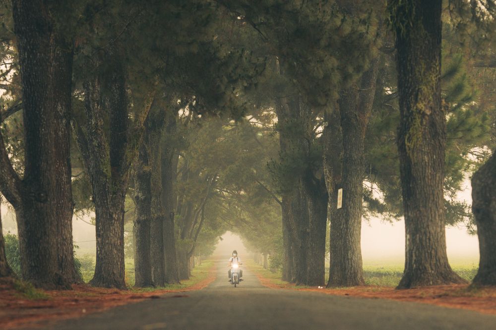 Photograph by Trịnh Anh Tuấn