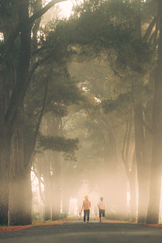 Photograph by Trịnh Anh Tuấn