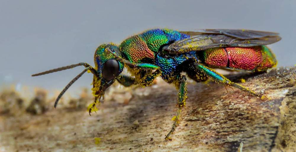 Photograph by Wendy Van Essen