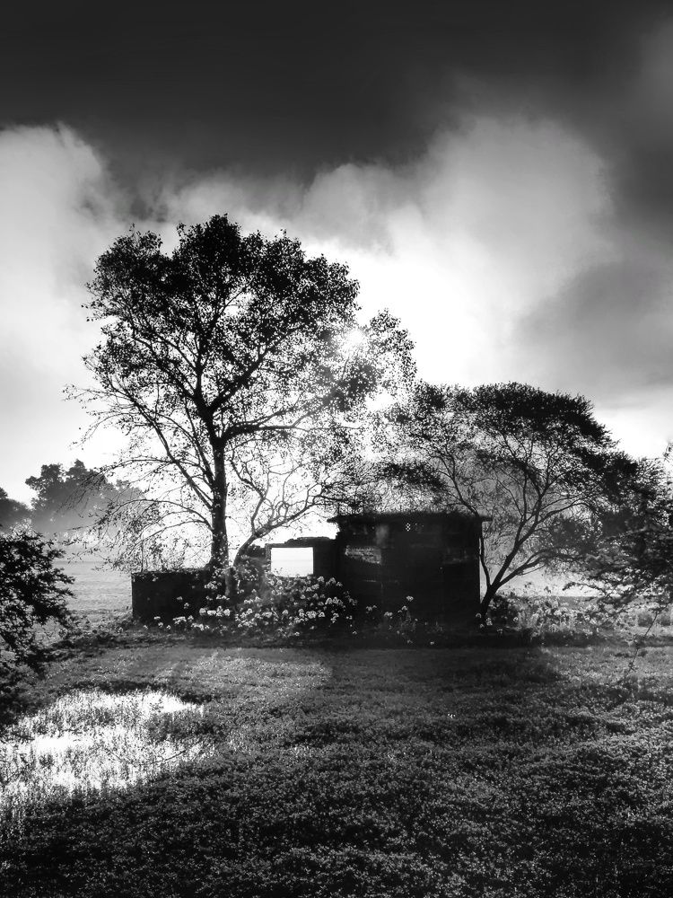 Фотография автора Ramprasad Das