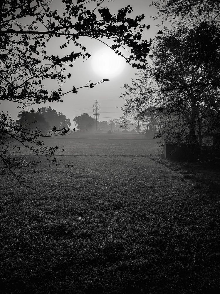 Фотография автора Ramprasad Das