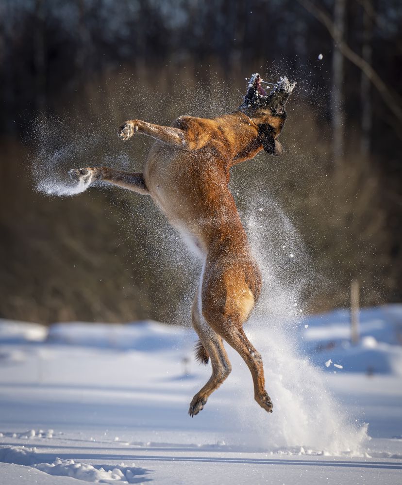 Photograph by Julia Malsagova