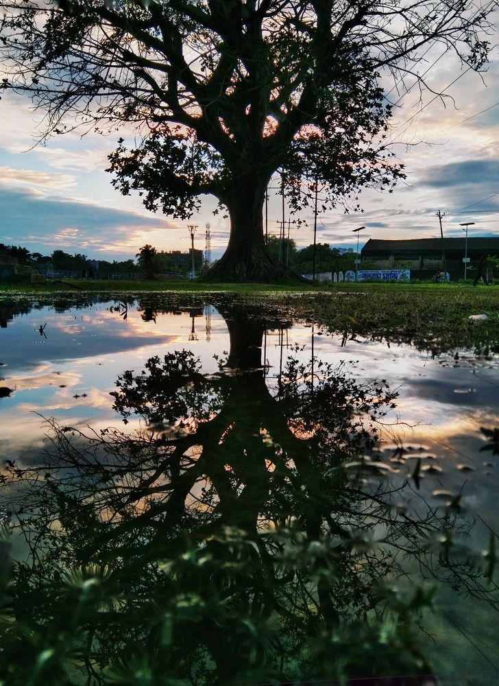 Photograph by Arijit Roy