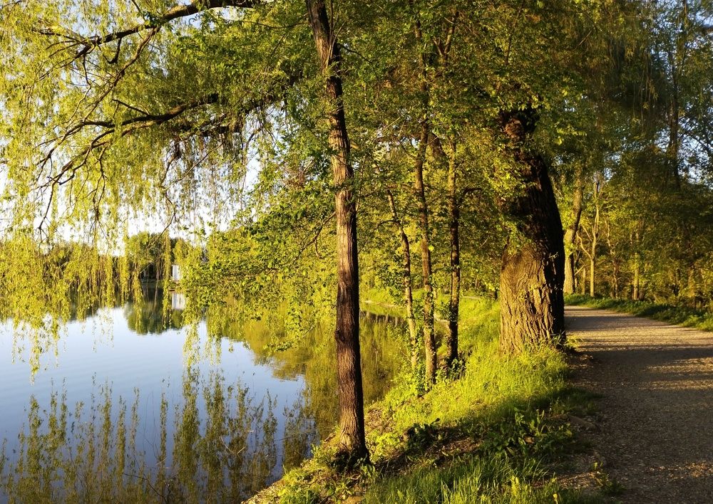 Photograph by Светлана Мозговая