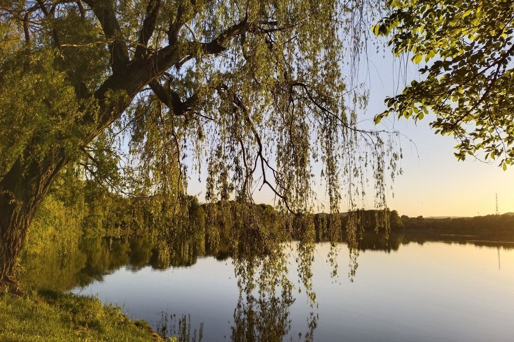 Photograph by Светлана Мозговая