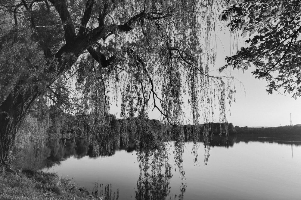 Photograph by Светлана Мозговая