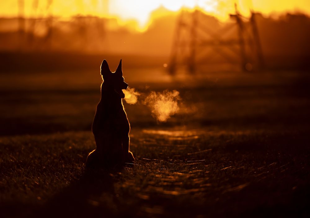 Photograph by Julia Malsagova