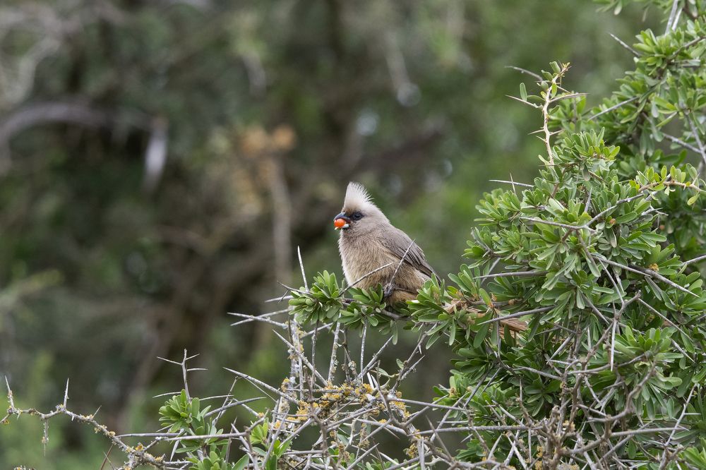 Photograph by Jacky Weckx