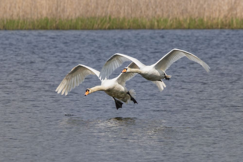 Photograph by Jacky Weckx