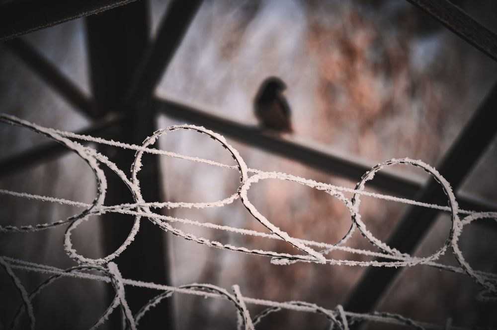 Photograph by Julia Malsagova