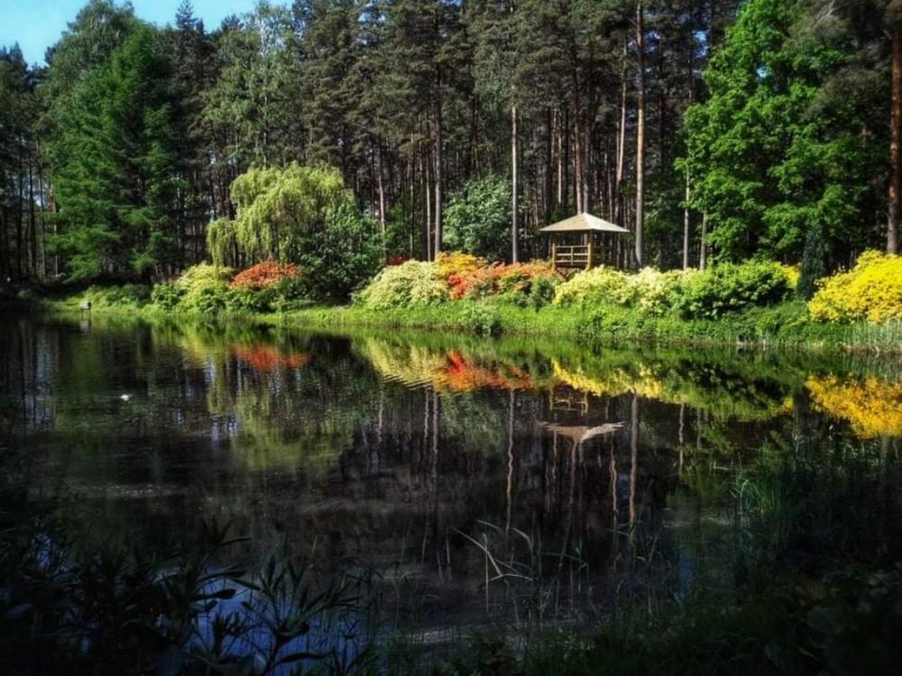 Photograph by Elena Tamošauskaitė