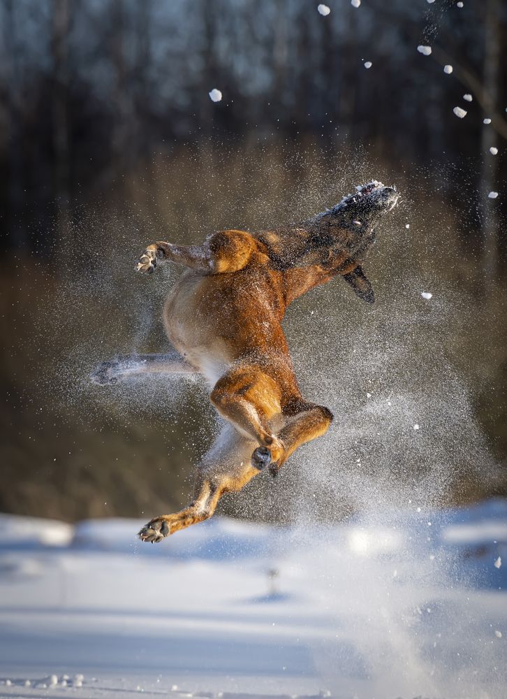 Photograph by Julia Malsagova