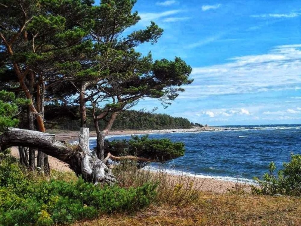 Photograph by Elena Tamošauskaitė