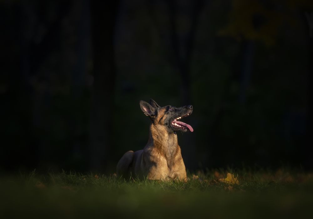 Photograph by Julia Malsagova