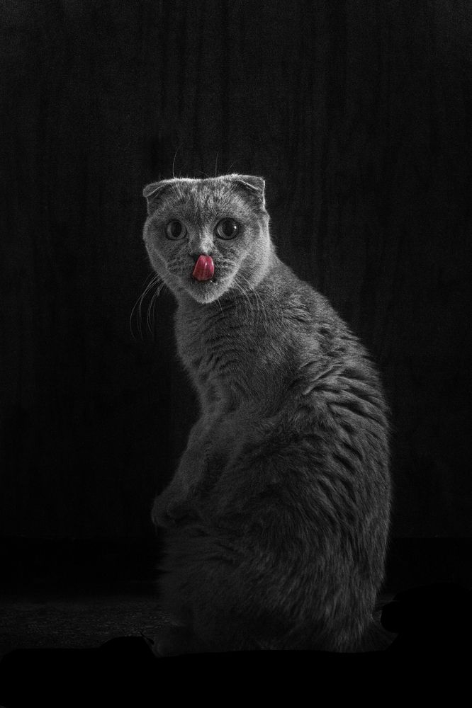 Photograph by Михаил